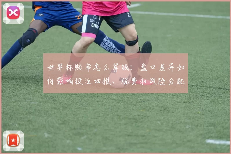 世界杯赔率怎么算钱:盘口差异如何影响投注回报、税费和风险分配